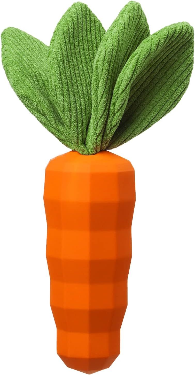 Dog Squeaky Chew Toys