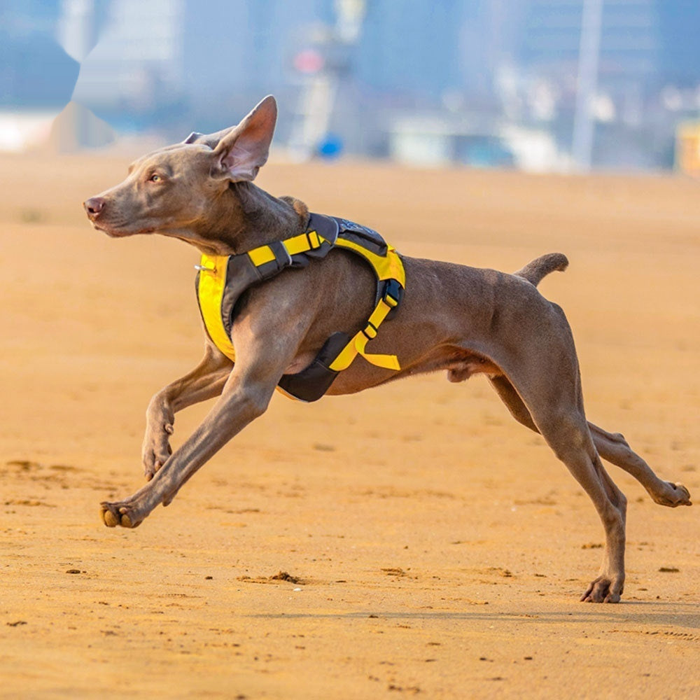 Dog Chest Leashe Strap
