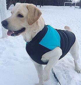 Pet Supplies Coat