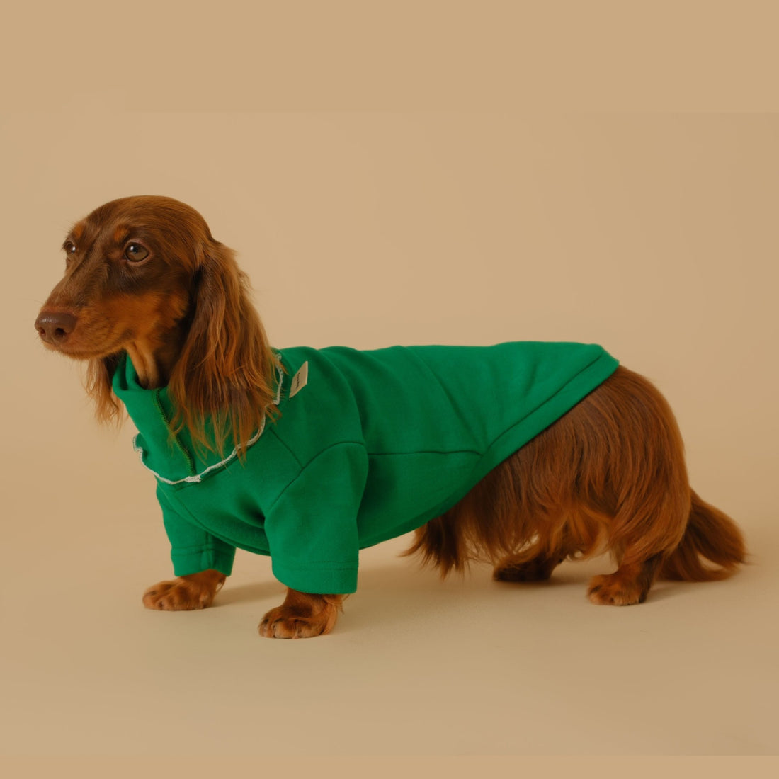 Pet Base Coat