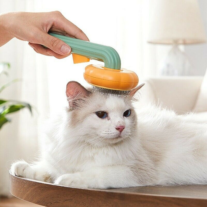 Pumpkin Comb Brush