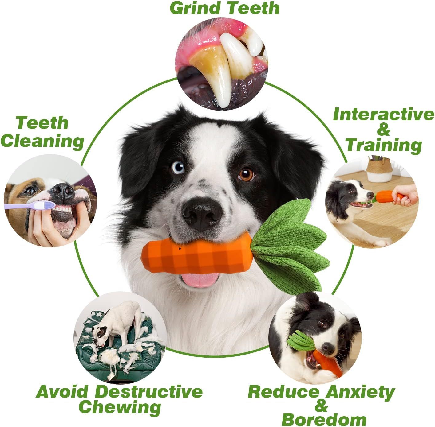 Dog Squeaky Chew Toys