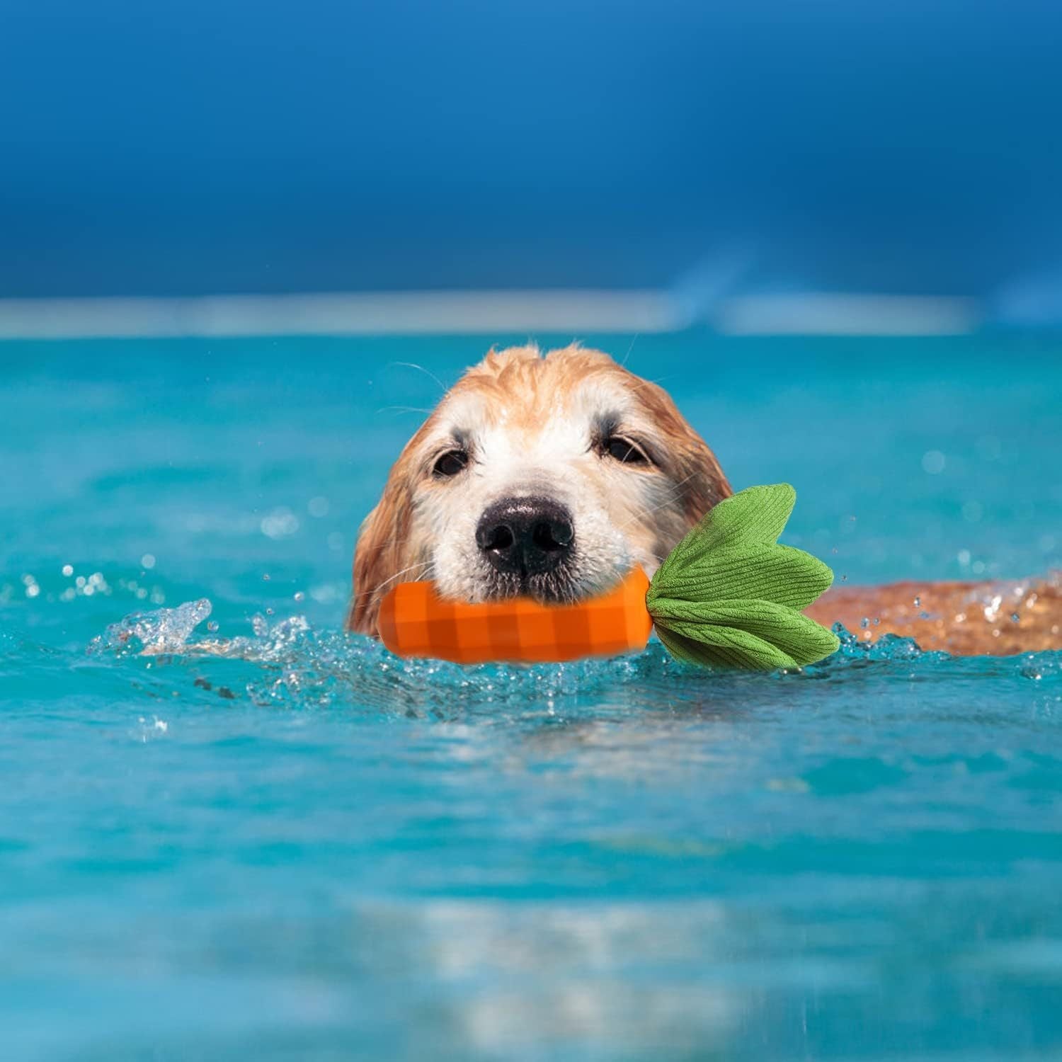 Dog Squeaky Chew Toys