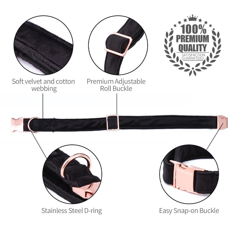 Unique Style Paws Leash