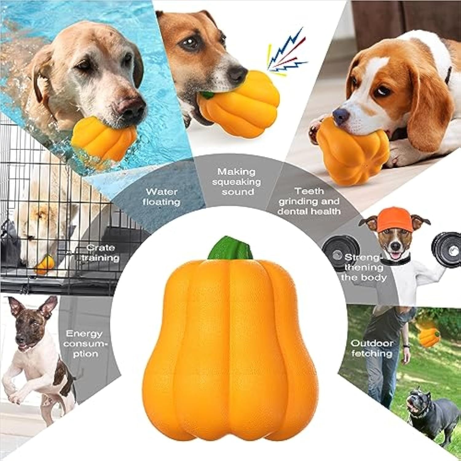 Halloween Premium Dog Toy