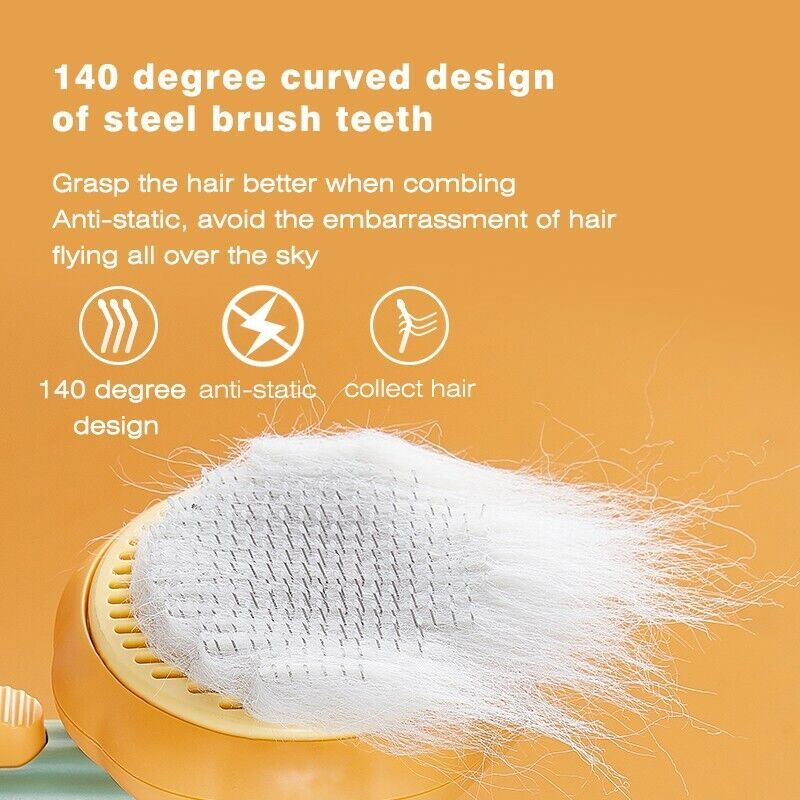 Pumpkin Comb Brush