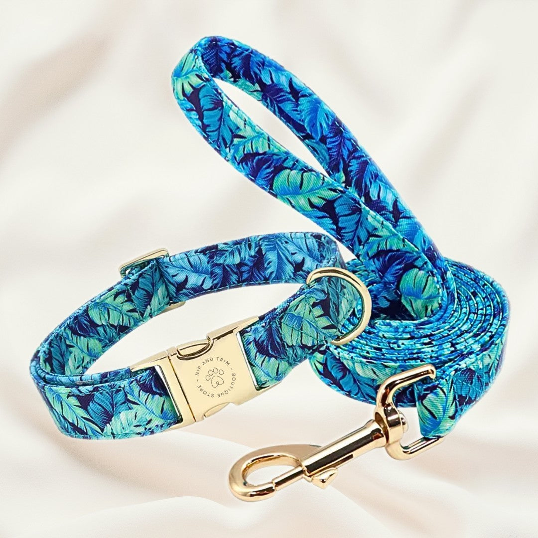 Dog Tag Custom Dog Collar