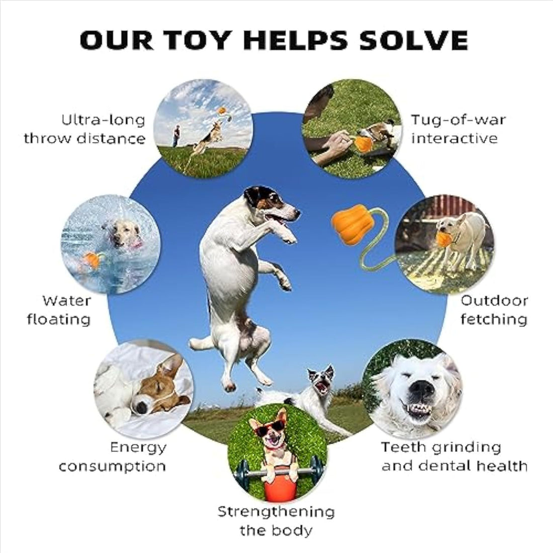 Halloween Premium Dog Toy