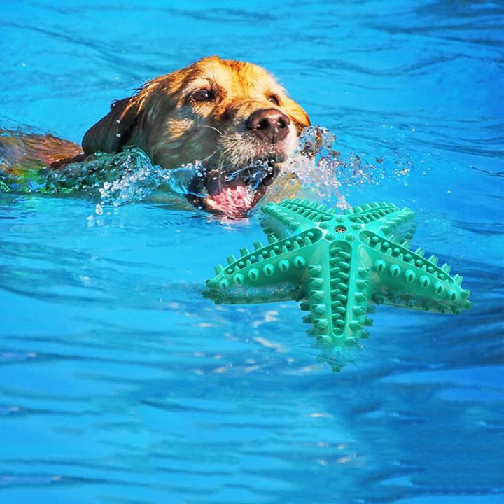 Dog Toys For Large Dogs