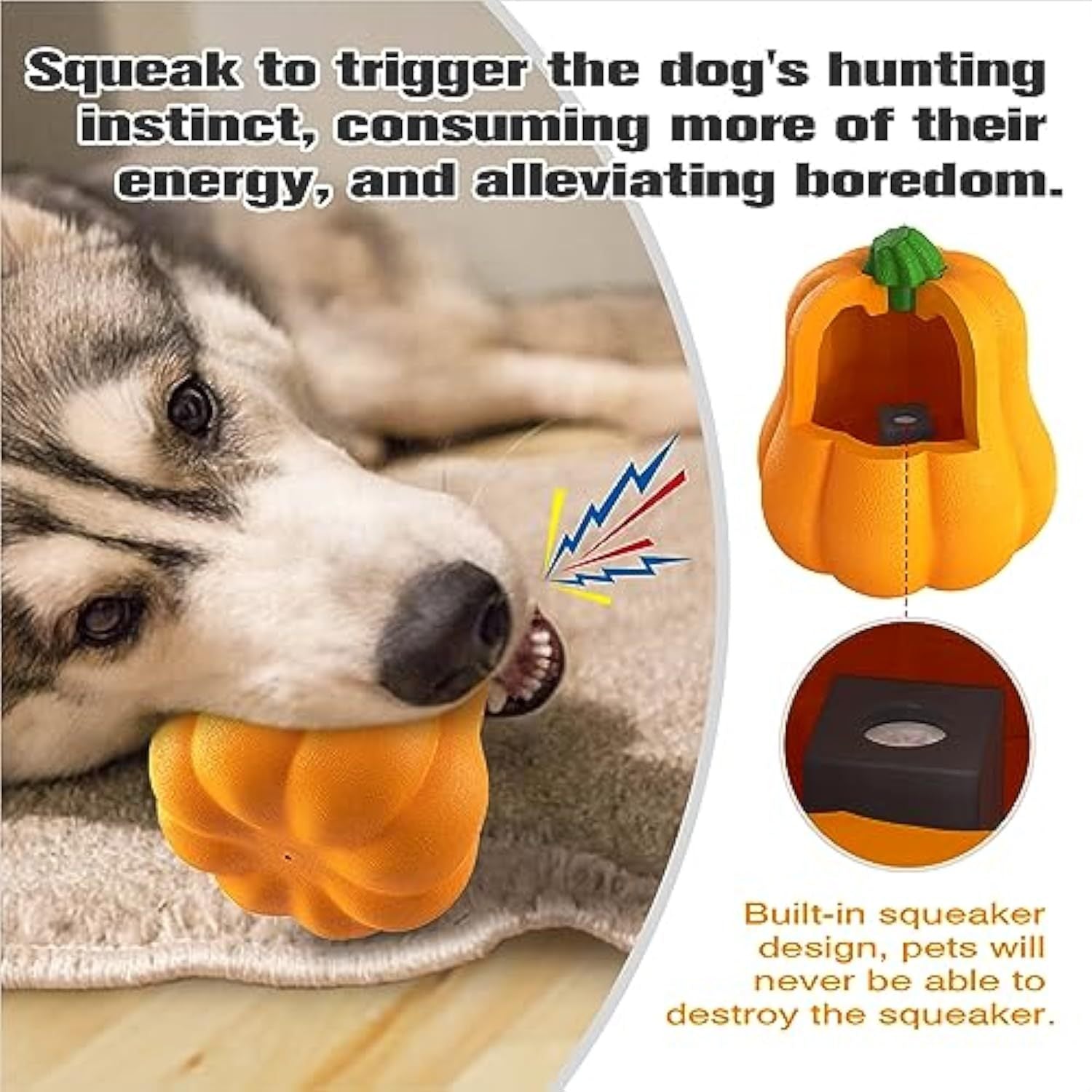 Halloween Premium Dog Toy