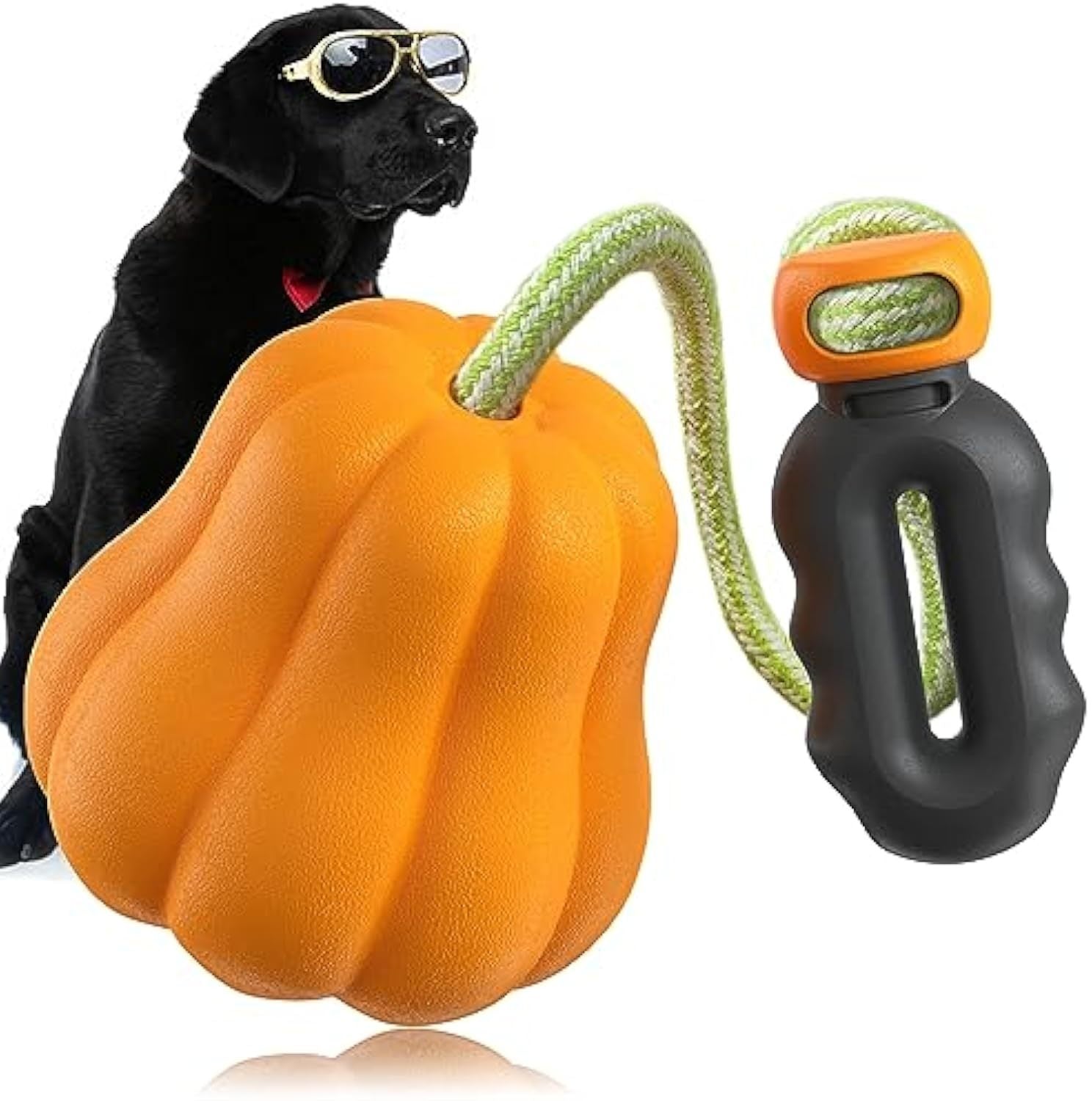 Halloween Premium Dog Toy