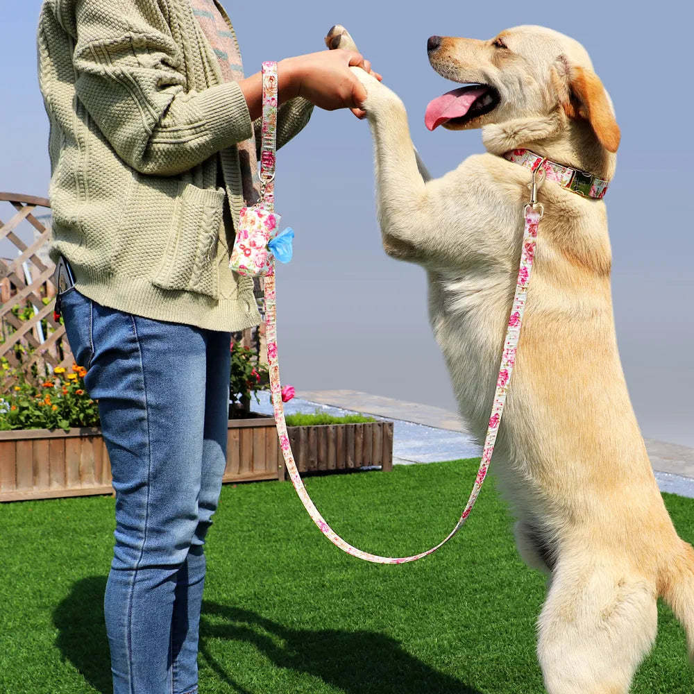 Dog Tag Custom Dog Collar