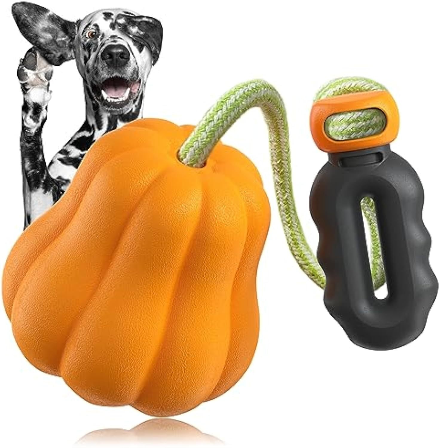 Halloween Premium Dog Toy