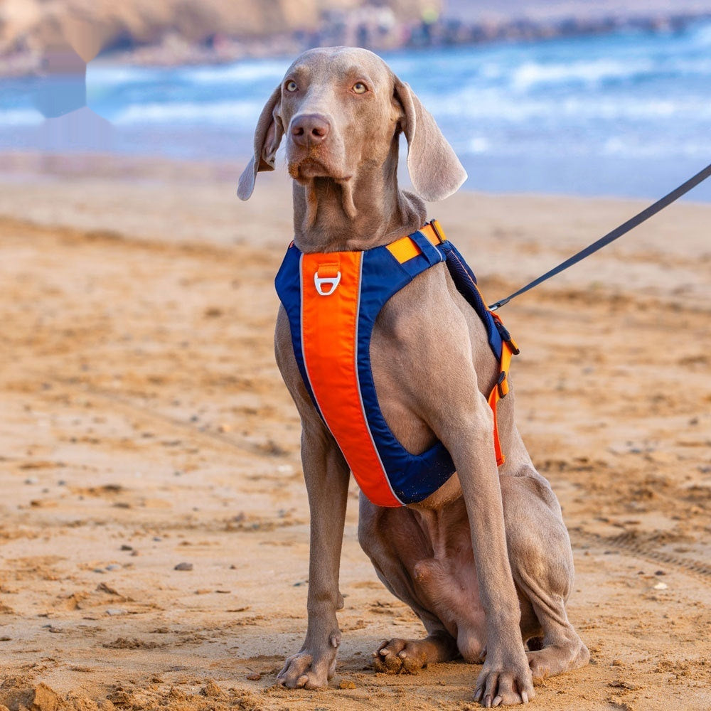 Dog Chest Leashe Strap