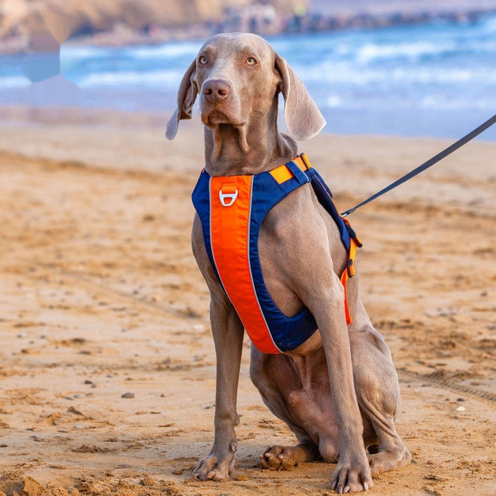 Dog Chest Leashe Strap