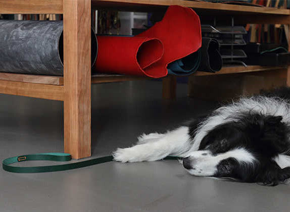 Leather Pet Traction Strap