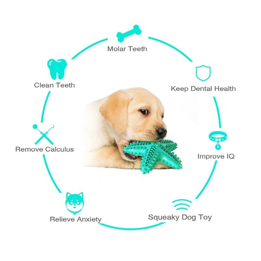 Dog Toys For Large Dogs