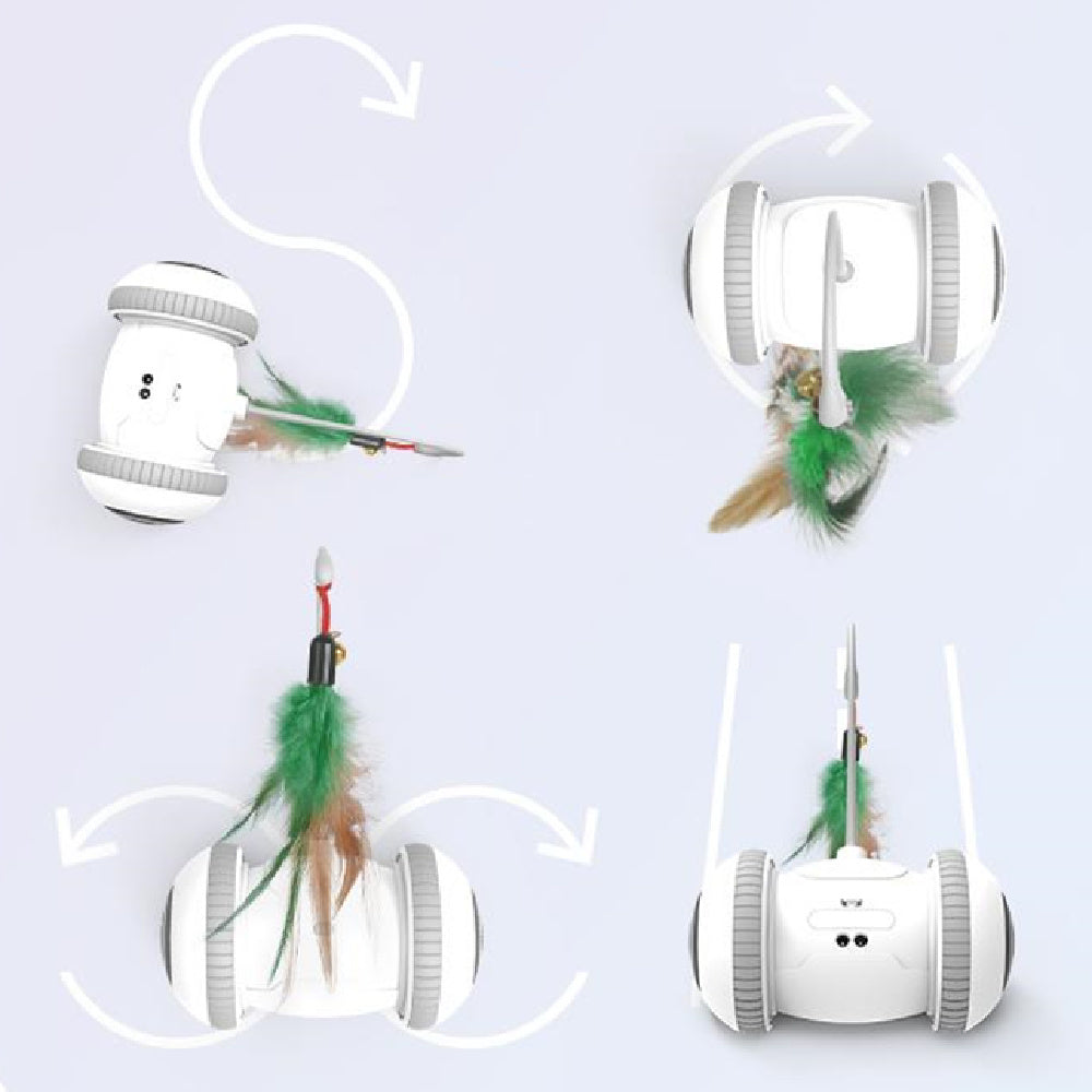 Interactive Cat Toy Pet Feather