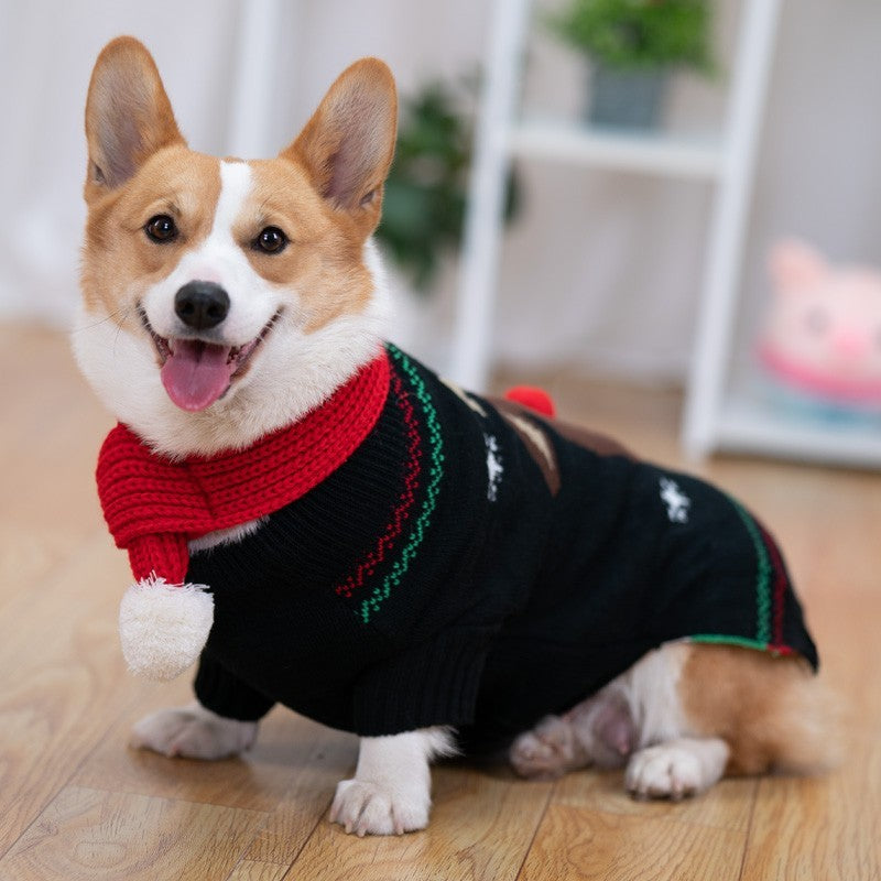 Pet Padded Winter Shiba