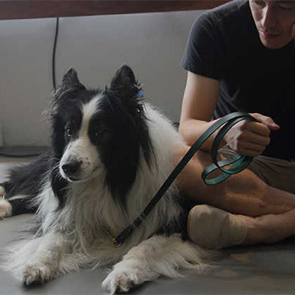 Leather Pet Traction Strap