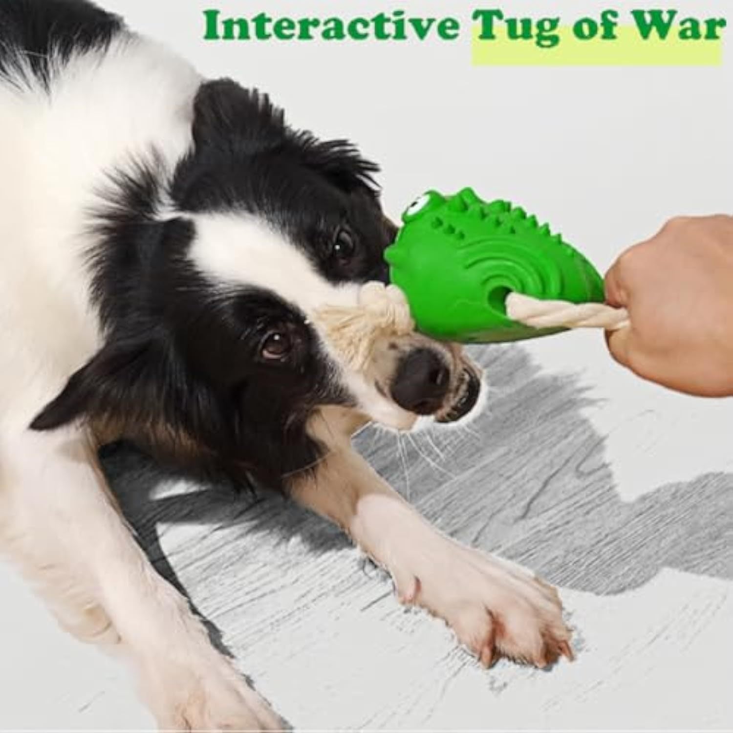 Rubber Cotton Toad Dog Toy