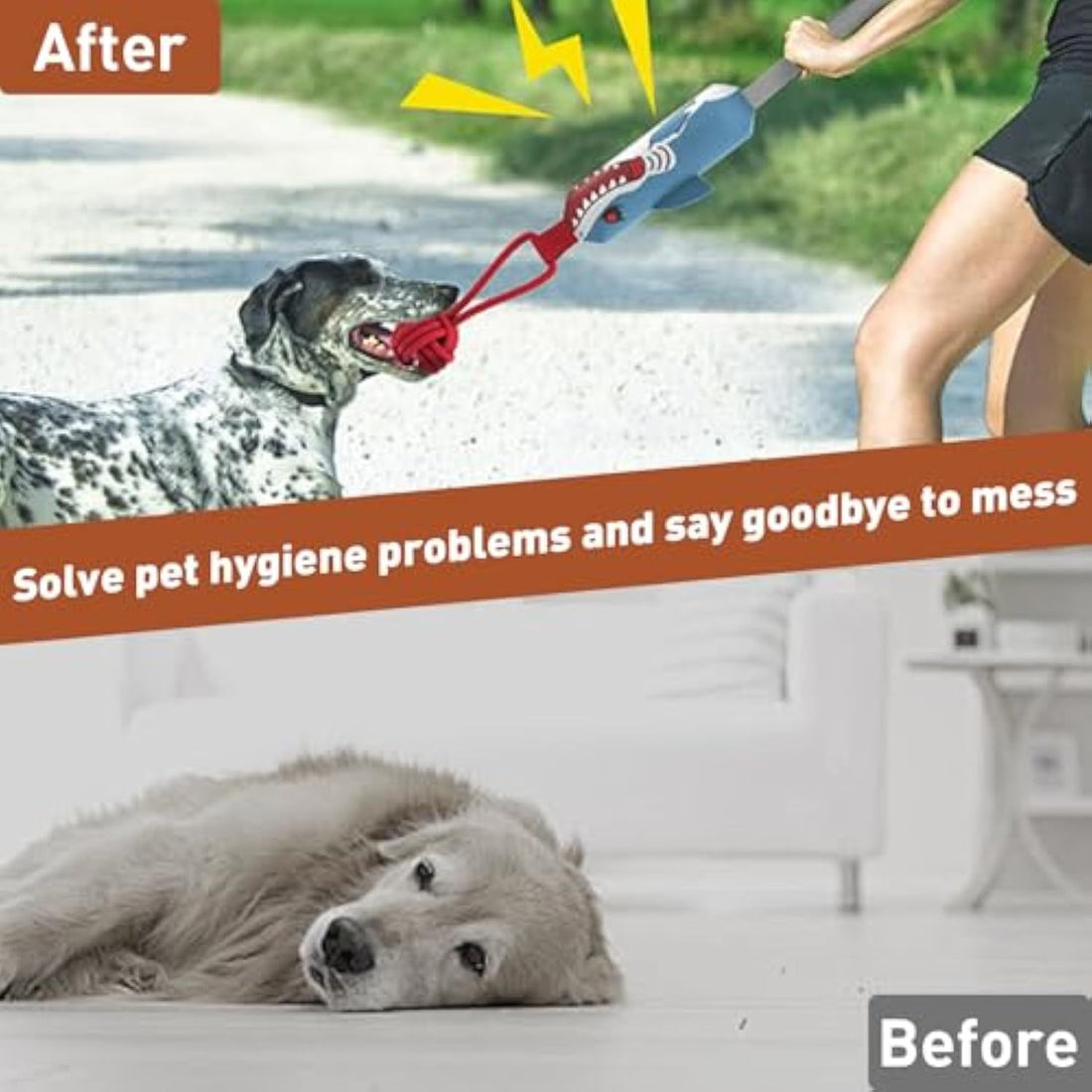 Squeaky Dog Tug Toy