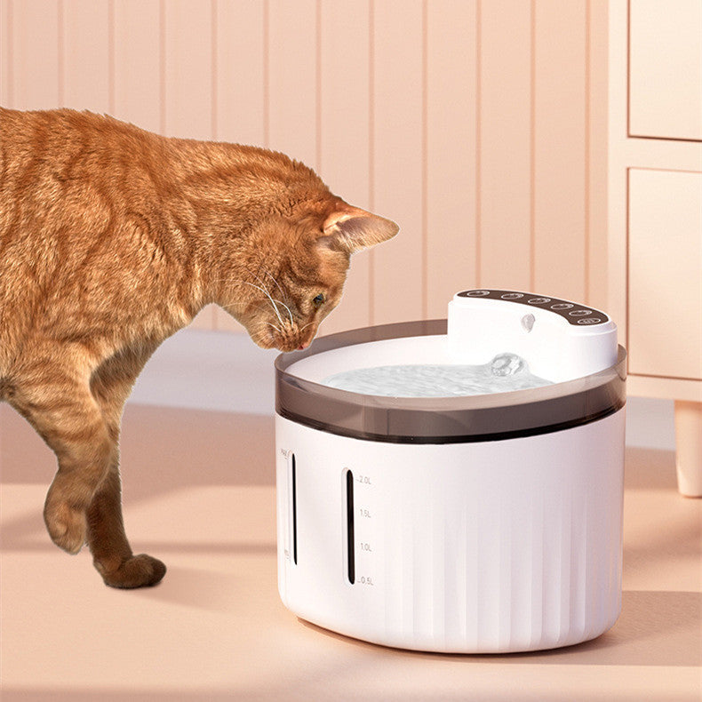 Pet Water Dispenser