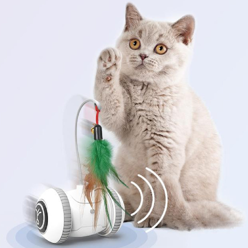 Interactive Cat Toy Pet Feather